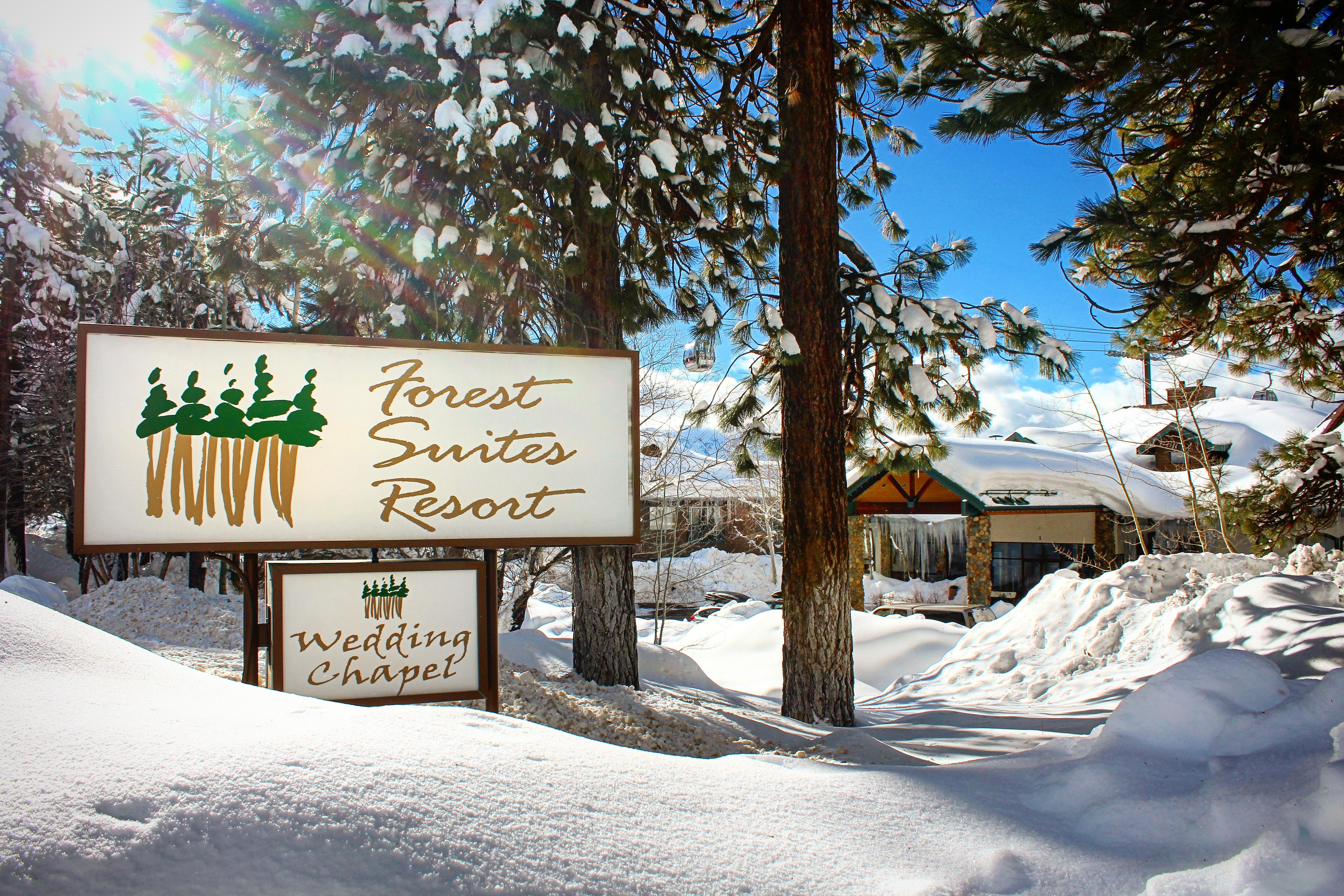 Forest Suites Resort At The Heavenly Village South Lake Tahoe Zewnętrze zdjęcie
