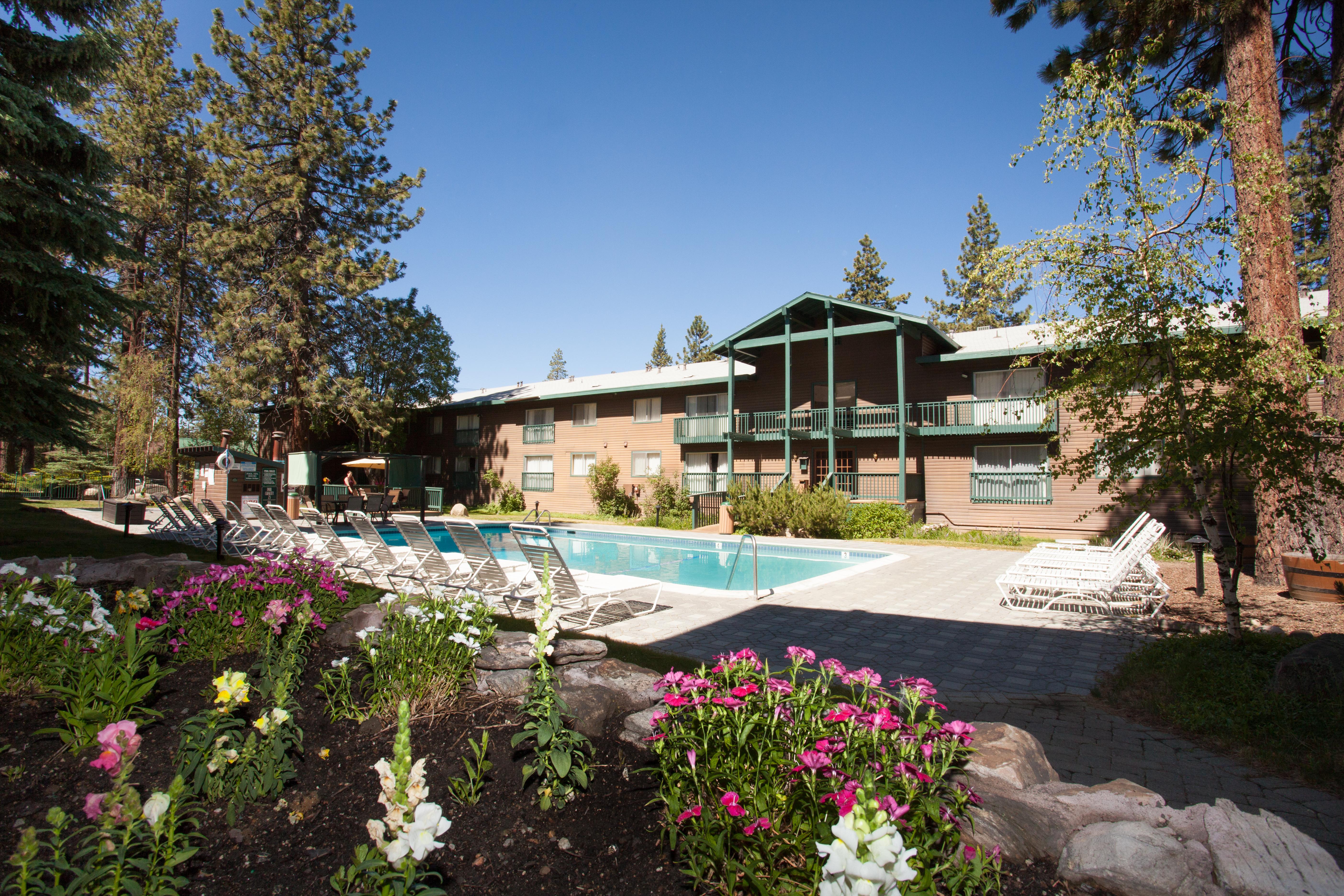 Forest Suites Resort At The Heavenly Village South Lake Tahoe Zewnętrze zdjęcie